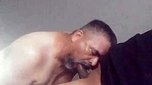 Blowjob pada zakar transgender hitam yang besar